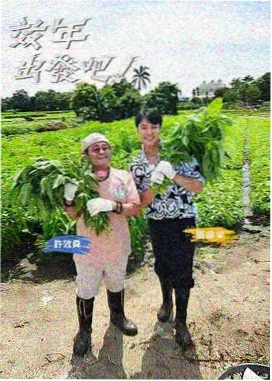 小众电影网柜位图：访谈影像样本封面